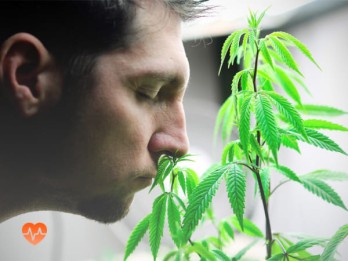 Детоксикация от марихуаны в Эндирее